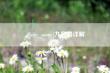 庆阳九宫格详解