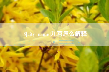 庆阳九宫怎么解释
