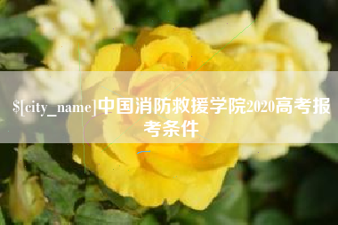 庆阳中国消防救援学院2020高考报考条件