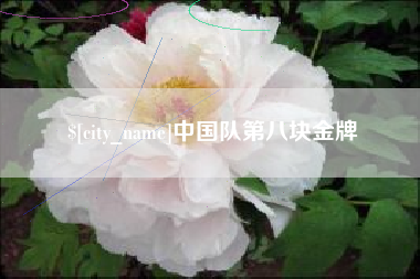 庆阳中国队第八块金牌
