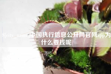 庆阳中国执行信息公开网官网app为什么要钱呢