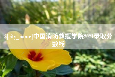庆阳中国消防救援学院2021录取分数线