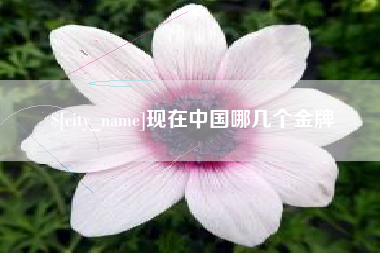 庆阳现在中国哪几个金牌