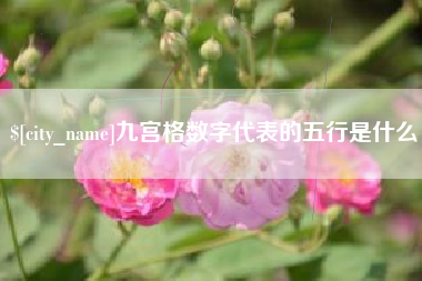 庆阳九宫格数字代表的五行是什么
