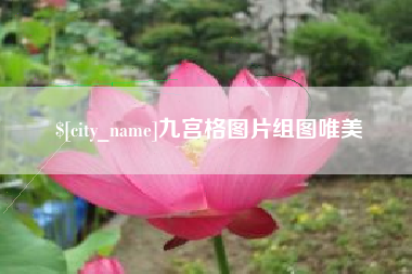庆阳九宫格图片组图唯美