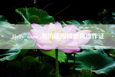 庆阳消防证国网查询操作证
