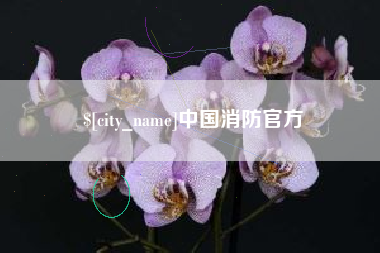 庆阳中国消防官方