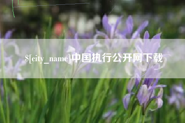 庆阳中国执行公开网下载