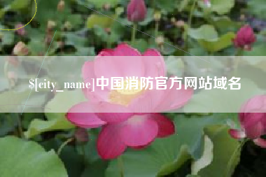 庆阳中国消防官方网站域名