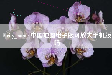 庆阳中国地图电子版可放大手机版吗