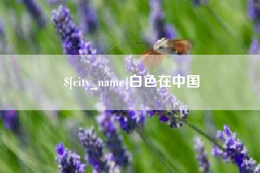 庆阳白色在中国