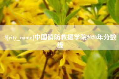 庆阳中国消防救援学院2020年分数线