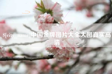 庆阳中国金牌图片大全大图真实高清