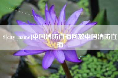 庆阳中国消防直播回放中国消防直播
