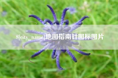 庆阳地图指南针图标图片