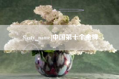 庆阳中国第十个金牌