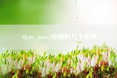 庆阳中国的几个金牌