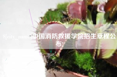 庆阳中国消防救援学院招生章程公布!