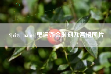 庆阳奥运夺金时刻九宫格图片