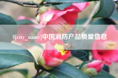 庆阳中国消防产品质量信息