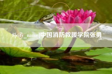 庆阳中国消防救援学院张勇