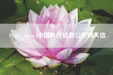 庆阳中国执行信息公开网失信