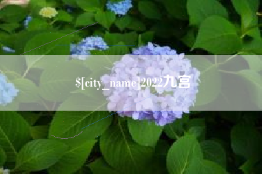 庆阳2022九宫