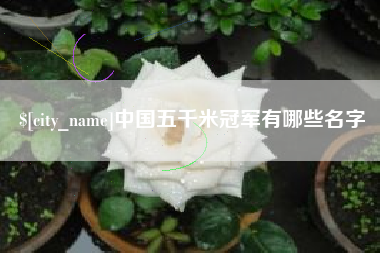 庆阳中国五千米冠军有哪些名字