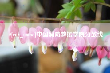庆阳中国消防救援学院分数线