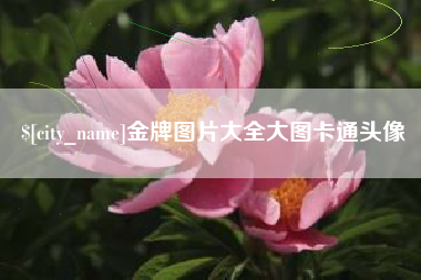 庆阳金牌图片大全大图卡通头像