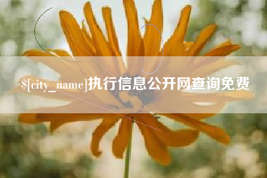 庆阳执行信息公开网查询免费