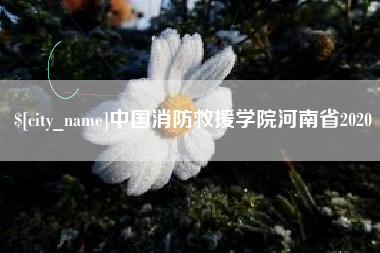 庆阳中国消防救援学院河南省2020