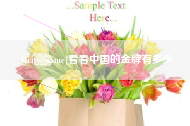 庆阳看看中国的金牌有多少